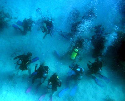 A circle of divers practice their
        skills